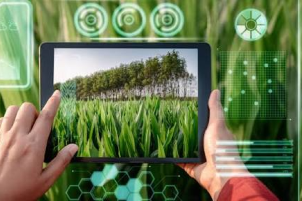 Applied AI for agriculture course